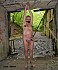 Cbt28-2015-032-1