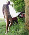 Cbt28-2017-007-0