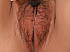 08-05-2011 00-30-43