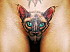 tatoo-tatouage-vagin big