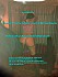 2015-06-06 soumise nina avec JLna & Natacha 0013