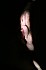Galerie-12 1364