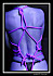 Vera-bondage04-web