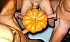 aanympho courge
