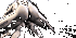 tumblr mwfg3fFxmy1rk54eco1 500