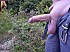 dans-les-bois-545415