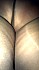 VIDEO0100.3gp 000022773