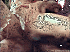 tumblr mb9xlvKtij1rslzdao1 400