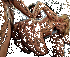 Trio 1