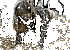 tumblr mh0iedE7dk1rf60iyo2 400