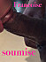 suceuse 3047