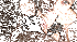 tumblr mleo06Li7W1r5nvt8o2 400