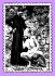 cure stamp