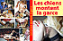 chiens-agnes