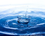 wistiti57_1266051877_eau-douce.jpg