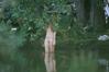 75098-SiennaMiller-100707-HippyHippyShakeFilming-05-122-151lo.jpg